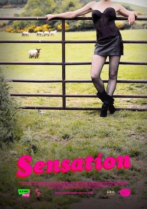 Sensation (2010) - poster
