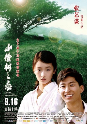 Shan Zha Shu Zhi Lian (2010) - poster