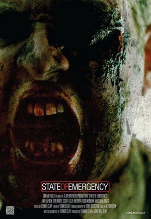State of Emergency (2010) - poster