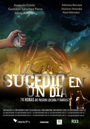 Sucedió en un Día (2010) - poster