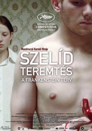 Szelíd Teremtés - A Frankenstein-terv (2010) - poster