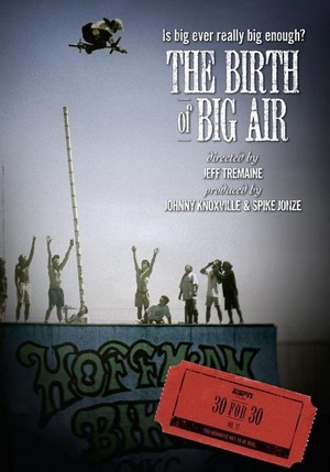 The Birth of Big Air (2010) - poster