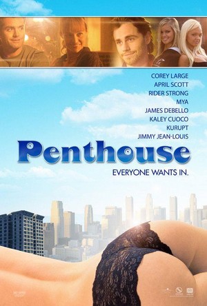 The Penthouse (2010) - poster