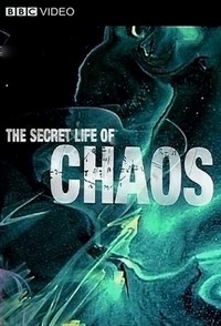 The Secret Life of Chaos (2010) - poster