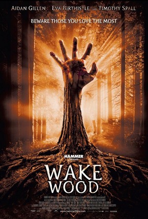 Wake Wood (2010) - poster