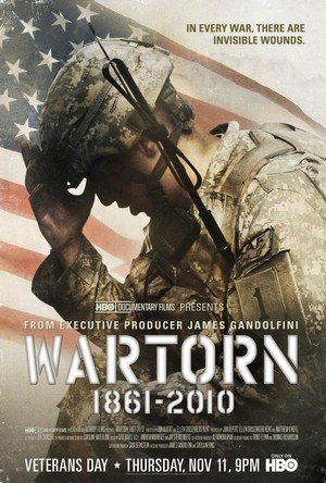 Wartorn: 1861-2010 (2010) - poster