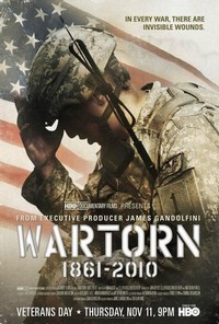 Wartorn: 1861-2010 (2010) - poster