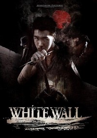 White Wall (2010) - poster