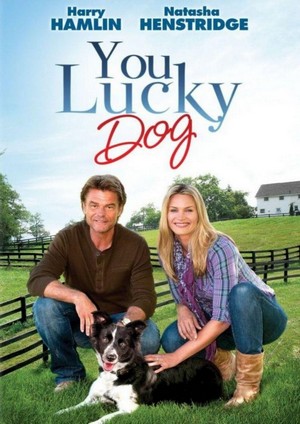 You Lucky Dog (2010) - poster