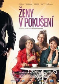 Ženy v Pokušení (2010) - poster