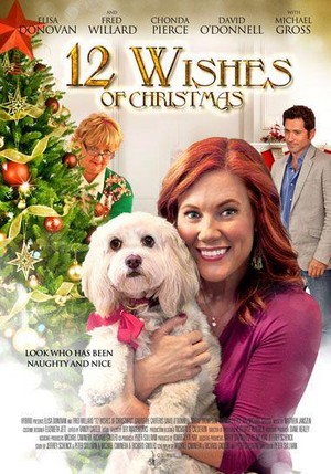 12 Wishes of Christmas (2011) - poster
