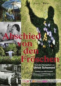 Abschied von den Fröschen (2011) - poster