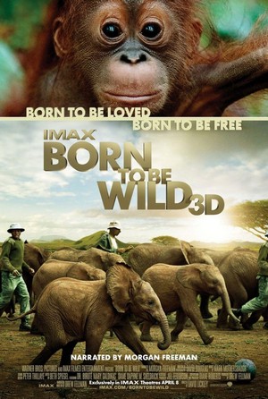 Born to Be Wild (2011) - poster