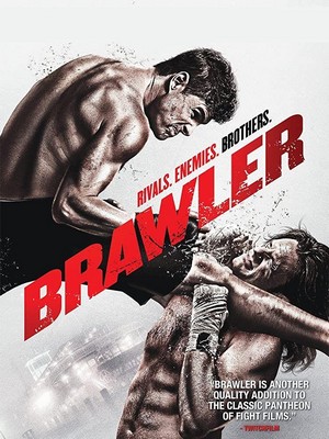 Brawler (2011) - poster