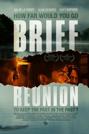 Brief Reunion (2011) - poster