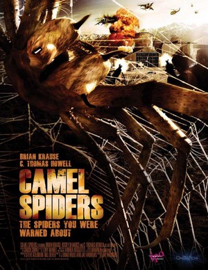 Camel Spiders (2011) - poster