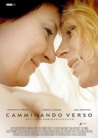 Camminando Verso (2011) - poster