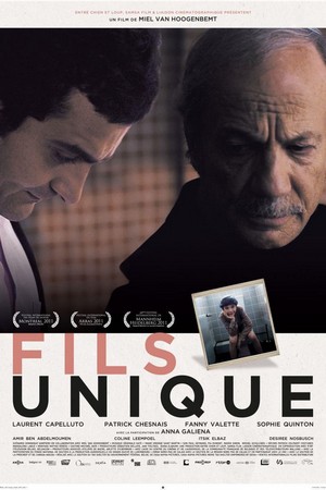 Fils Unique (2011) - poster