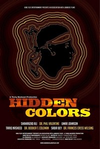 Hidden Colors (2011) - poster