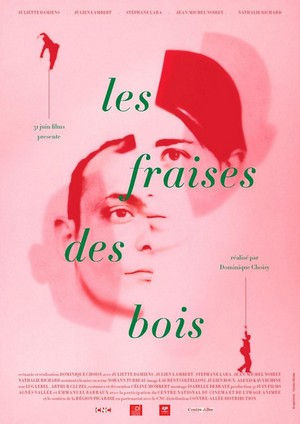 Les Fraises des Bois (2011) - poster