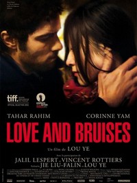 Love and Bruises (2011) - poster