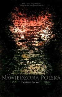 Nawiedzona Polska (2011) - poster