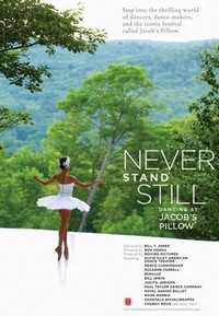 Never Stand Still (2011) - poster