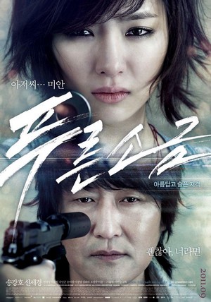 Poo-reun-so-geum (2011) - poster