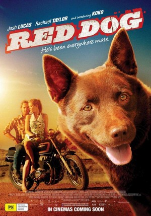 Red Dog (2011) - poster