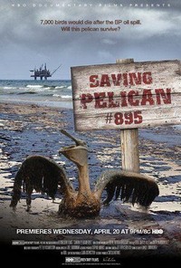 Saving Pelican 895 (2011) - poster