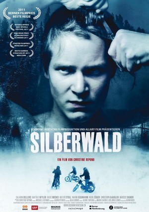 Silberwald (2011) - poster