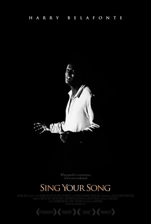 Sing Your Song (2011) - poster