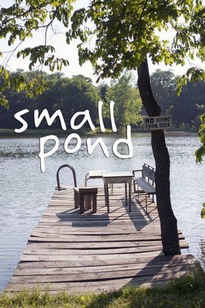 Small Pond (2011) - poster