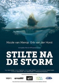 Stilte na de Storm (2011) - poster