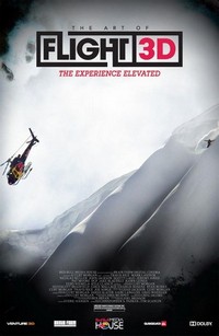 The Art of Flight (2011) - poster