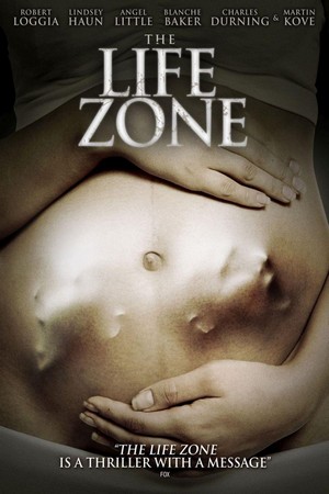 The Life Zone (2011) - poster