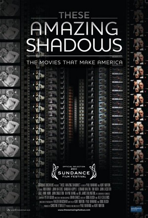 These Amazing Shadows (2011) - poster