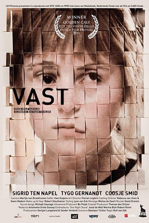 Vast (2011) - poster