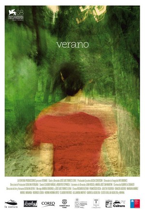 Verano (2011) - poster