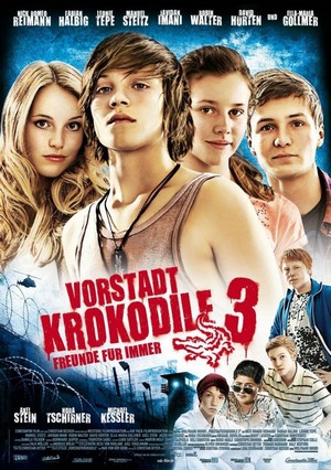 Vorstadtkrokodile 3 (2011) - poster