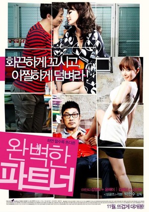 Wonbyeokhan Pateuneo (2011) - poster