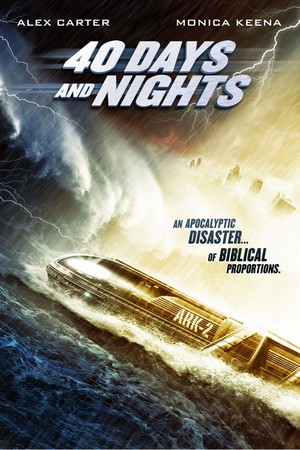 40 Days and Nights (2012) - poster