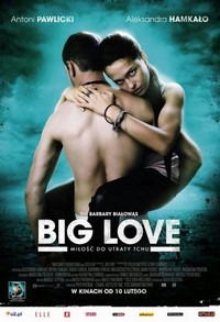 Big Love (2012) - poster