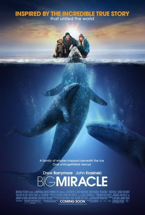 Big Miracle (2012) - poster