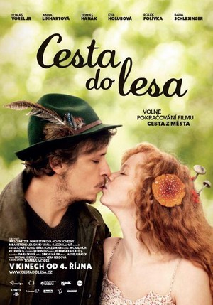 Cesta do Lesa (2012) - poster