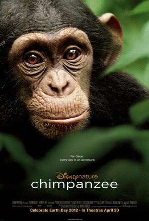 Chimpanzee (2012) - poster