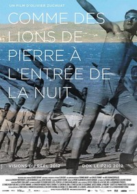 Comme des Lions de Pierre à l'Entrée de la Nuit (2012) - poster