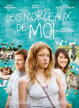 Des Morceaux de Moi (2012) - poster