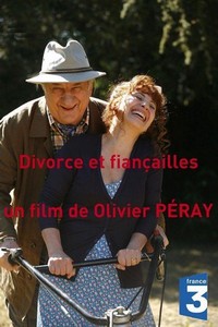 Divorce et Fiançailles (2012) - poster