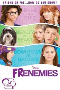 Frenemies (2012) - poster